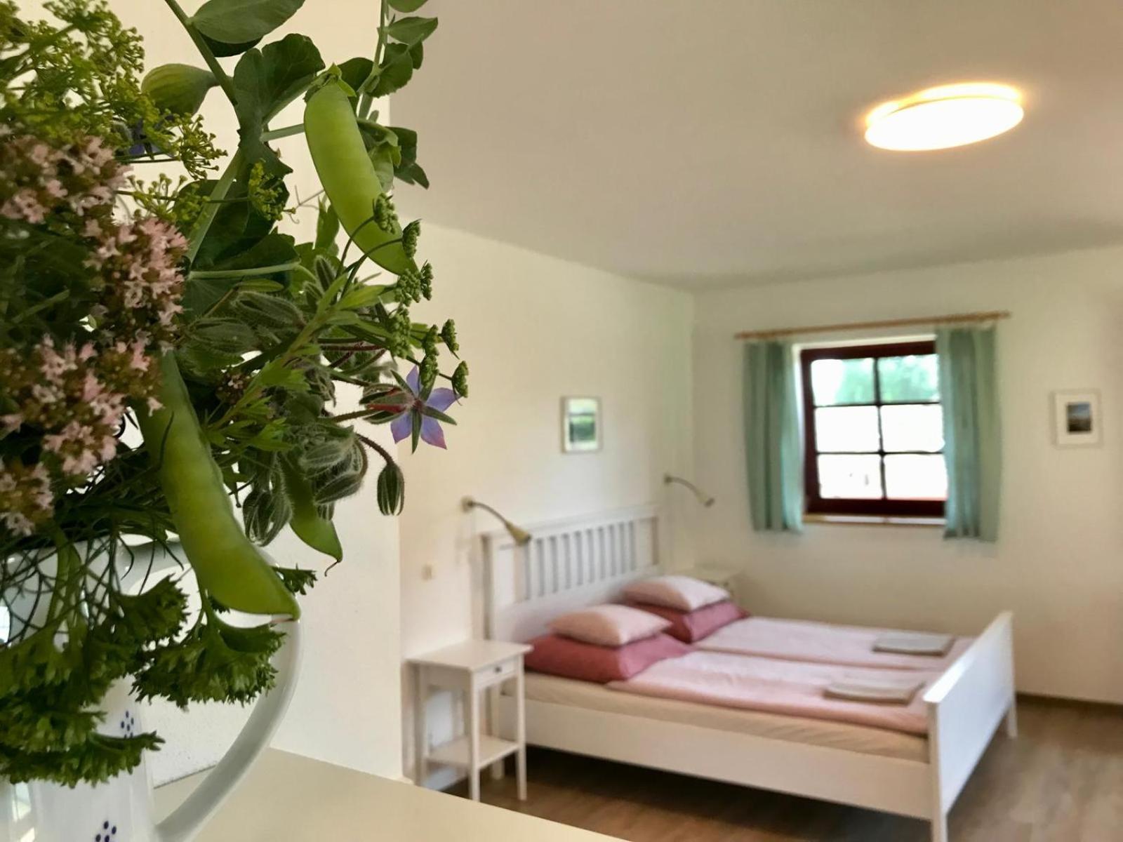 Ubytovani Praschlhaus Horni Plana Ngoại thất bức ảnh